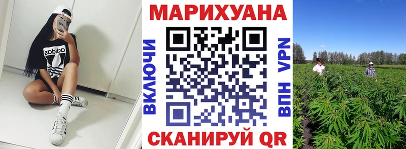 Канабис план  Каневская 